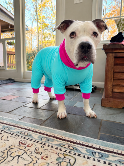 Everyday Solids 4 Legged PAWjamas with Turtle Neck (Available in any pattern)