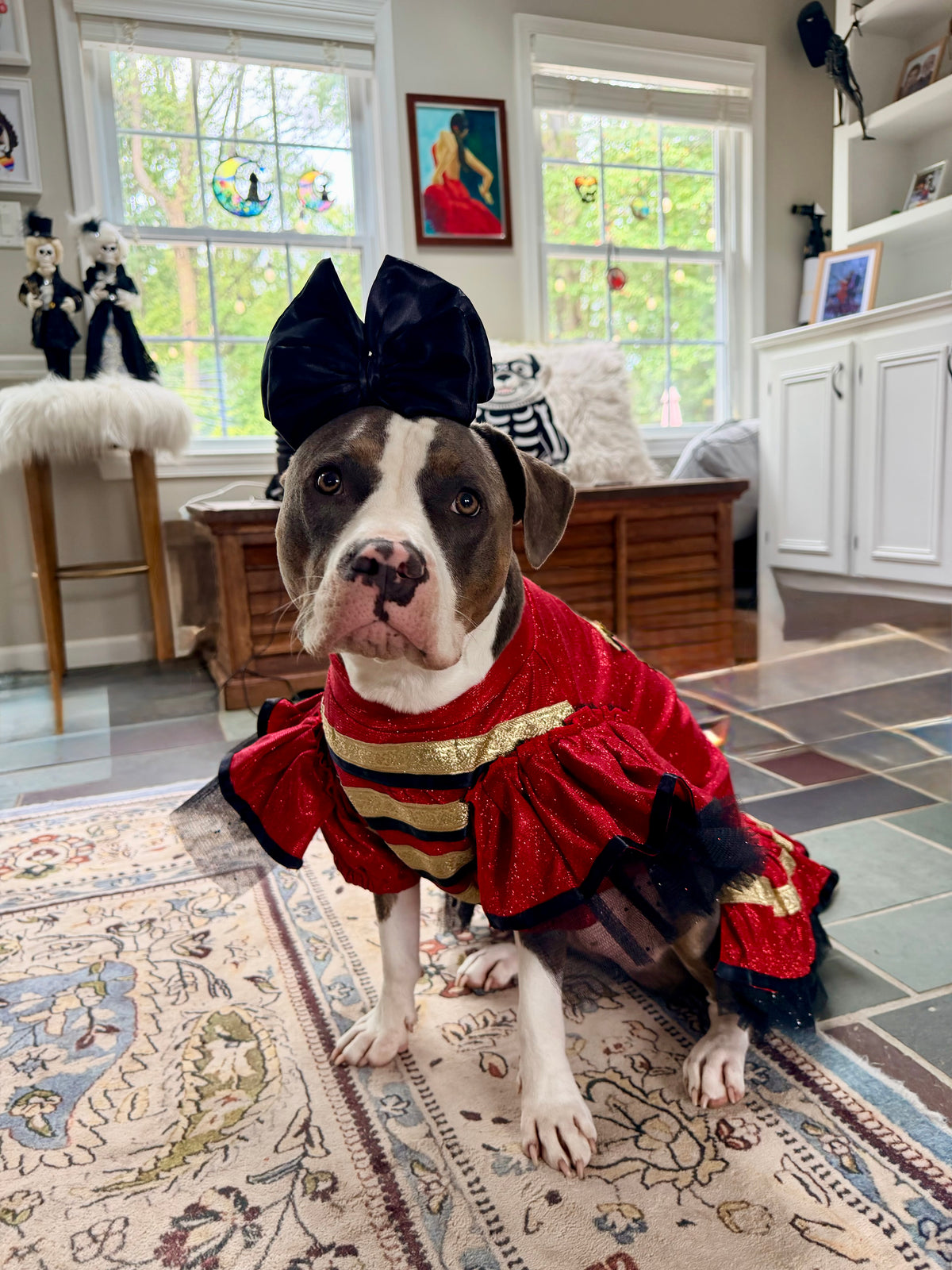 Nutcracker Princess Couture Dog Dress