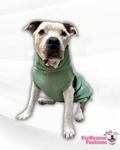 Sage Ribbed Dog Shirt