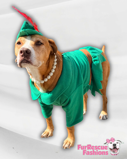Peter Pan Dog Costume