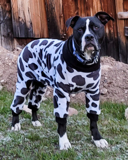 Luxury Fleece Cow Dog Outfit with Headband