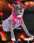 2023 Christmas & Hanukkah UV50 Dog Shirt With Ruffle on the Sleeves & Waist