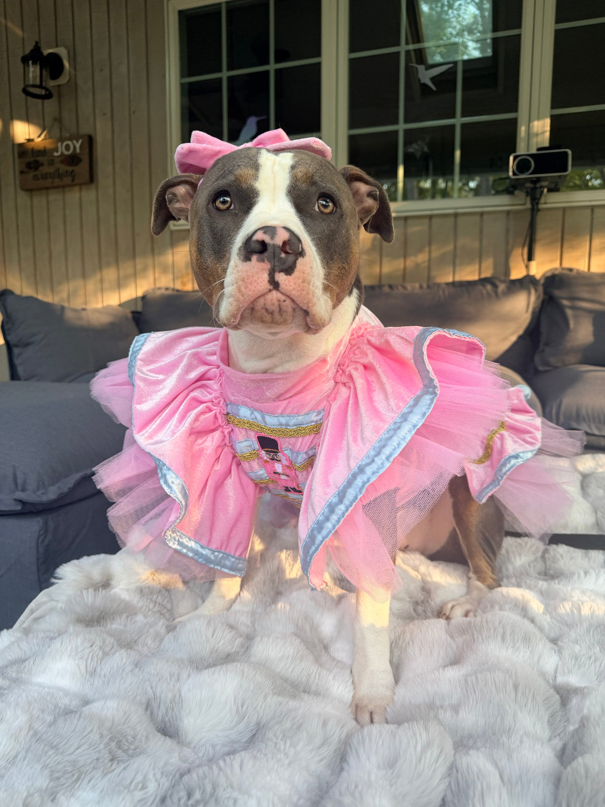 Sugar Plum Nutcracker Couture Christmas Dog Dress