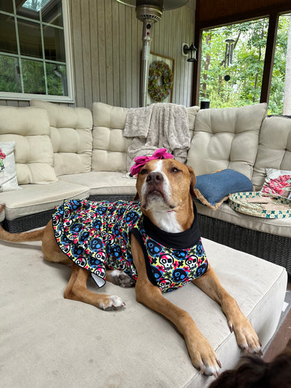 Dead Men Tails Dog Dress with Ruffle - Black Neck & Trim