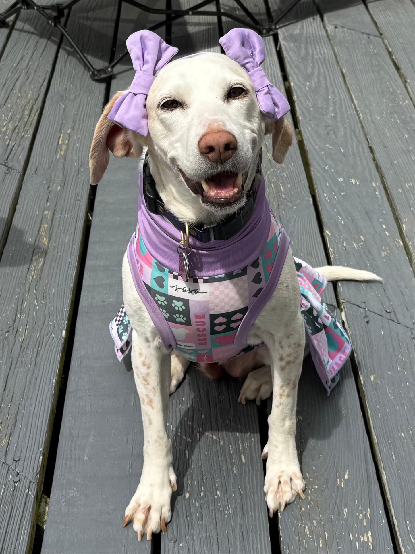 7th Anniversary Dog Dress With Ruffle / With Sleeves or Sleeveless (Available in any pattern)