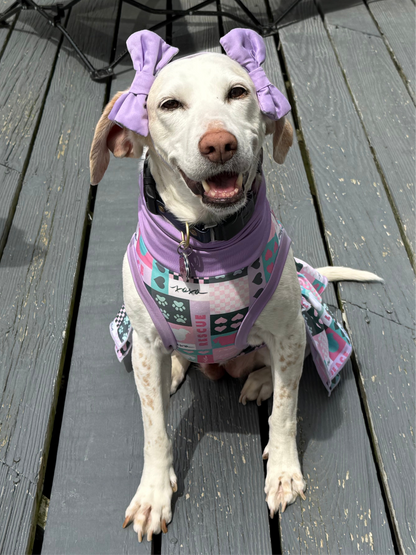 7th Anniversary Dog Dress With Ruffle / With Sleeves or Sleeveless (Available in any pattern)