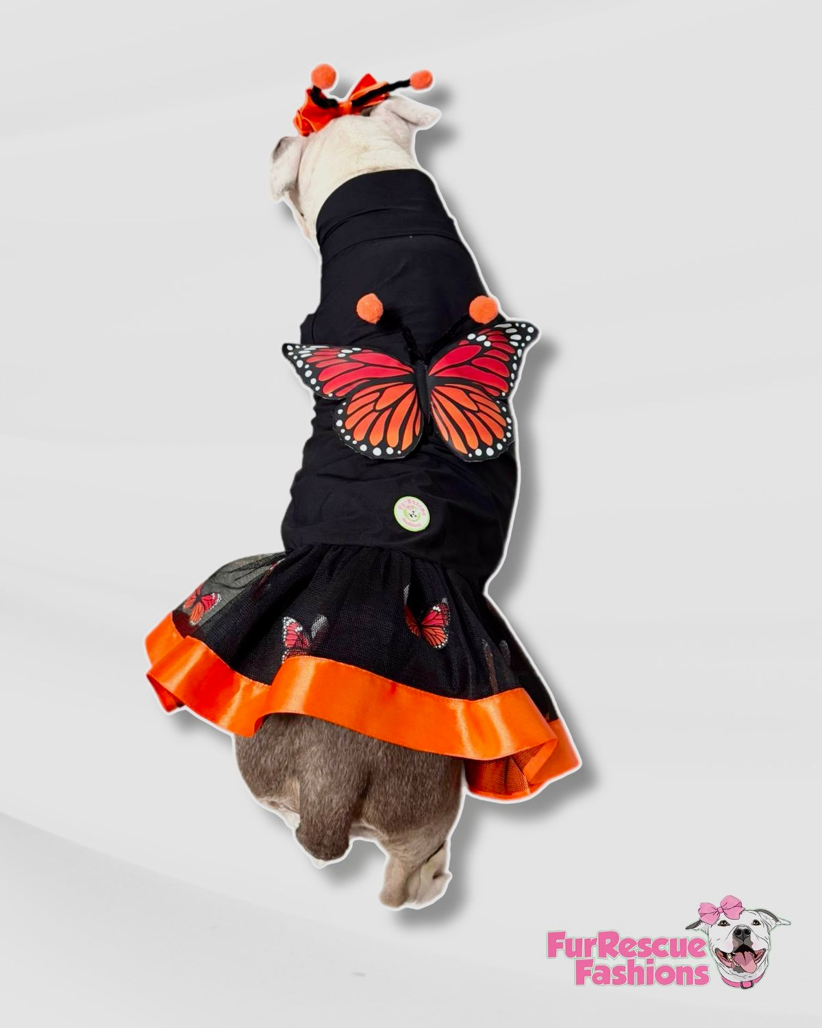 Monarch Magic Dog Dress