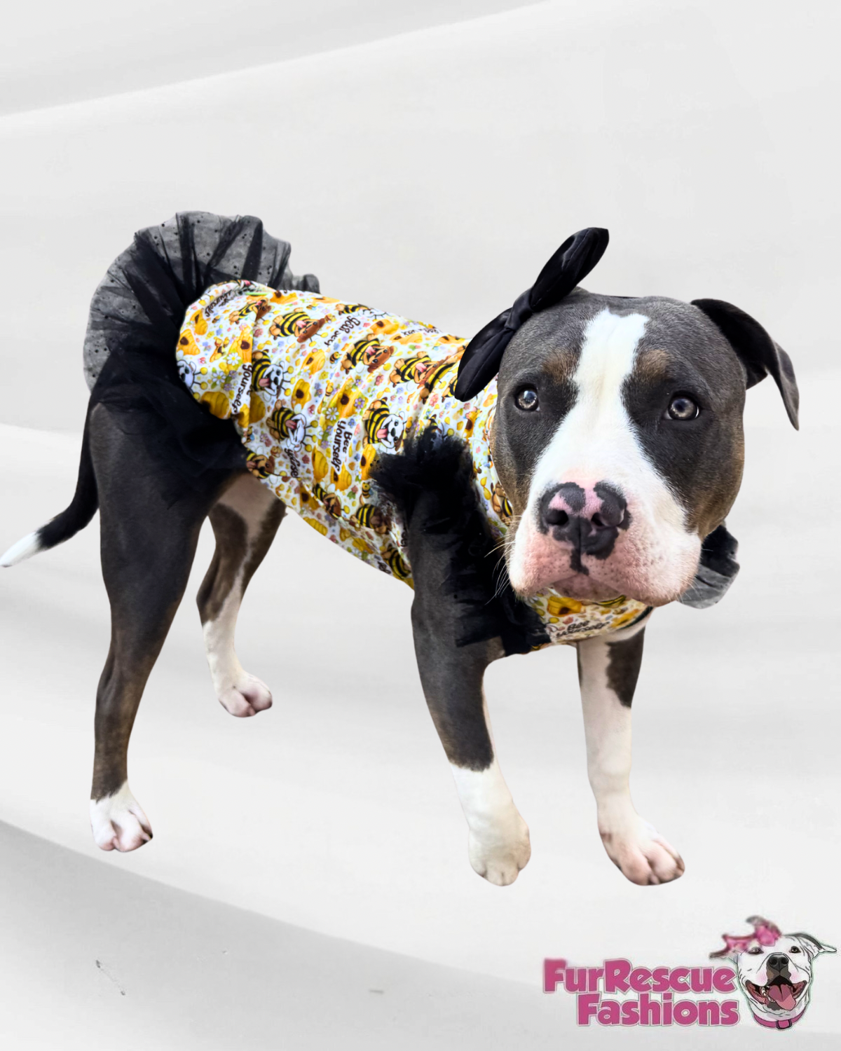 2026 Spring Dog Shirt With Tulle Accent (Available in any pattern)