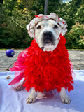 Special Gala Dog Tutu Dress