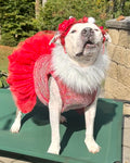 Christmas Sparkle Dog Dress with Fur