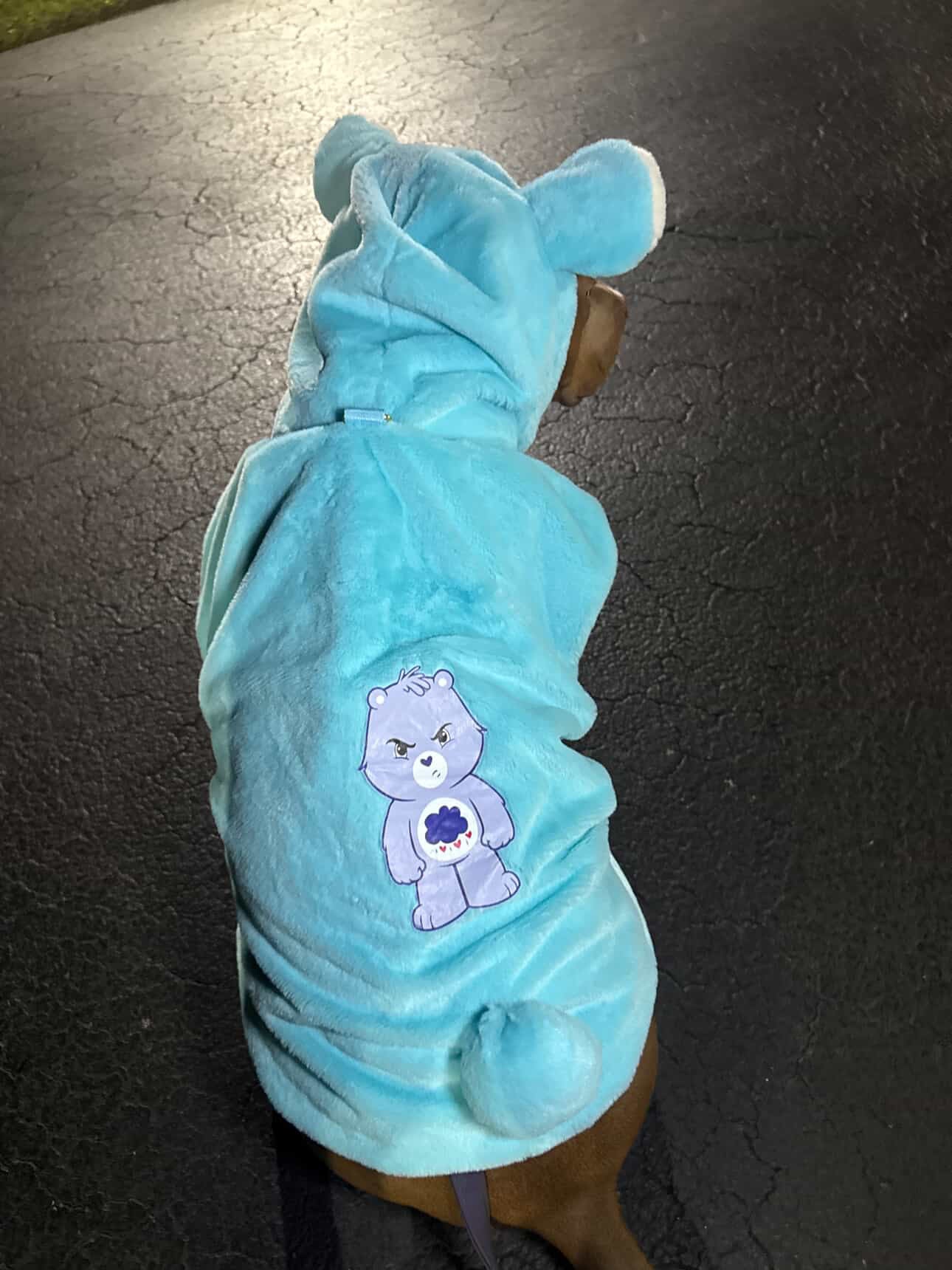 Grumpy Bear Light-Up Dog Hoodie – Luxury Blue Fleece with Ears, Tail & Heart Patch