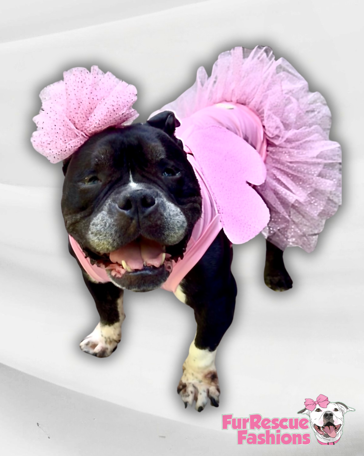 🧚 Enchanted Fairy 
Dog Dress With Headband (Available in 3 magical colors)