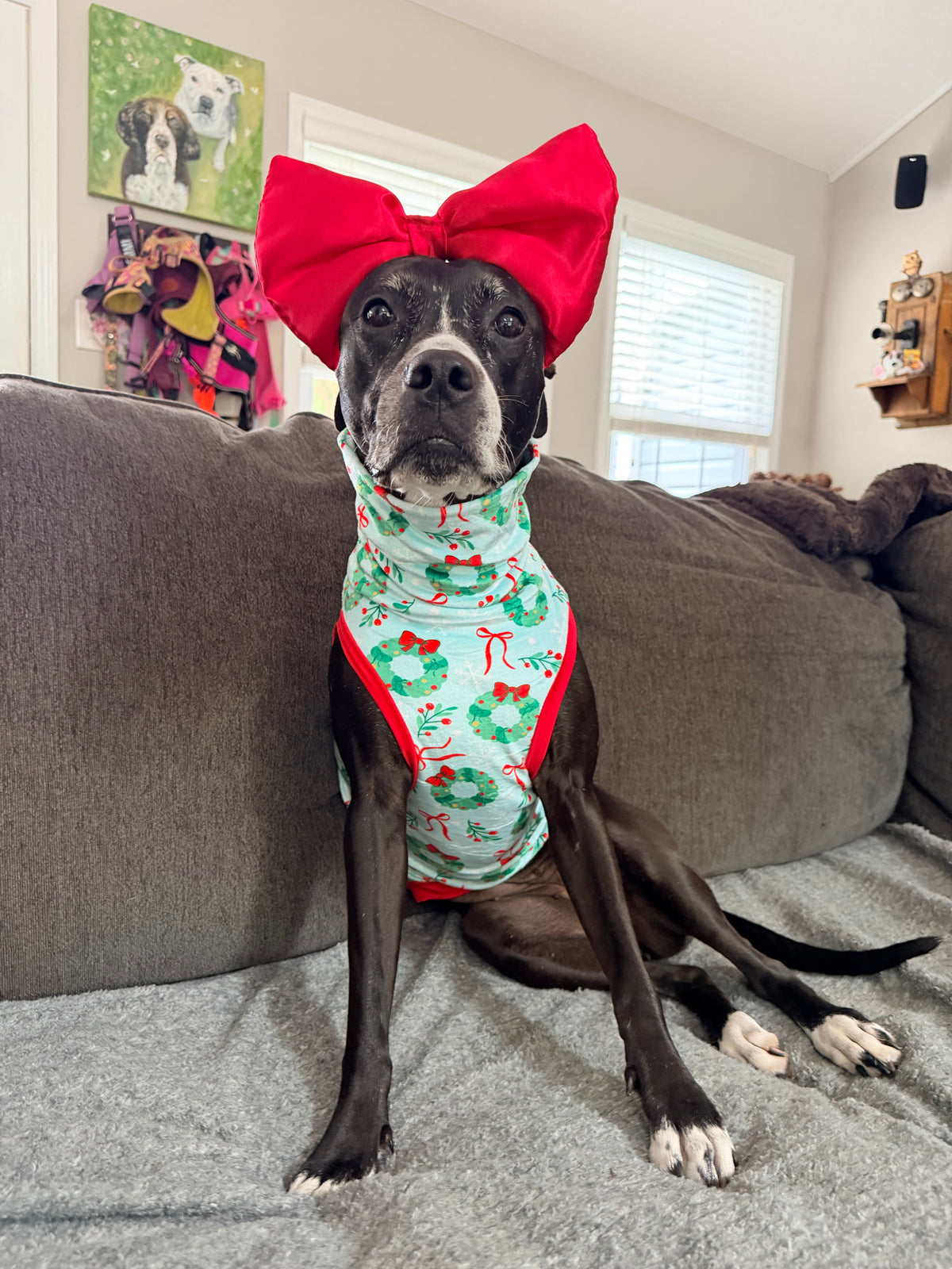 Christmas Wreaths & Red Bow - Dog Pajama with Red Neck & Trim/Sleeves