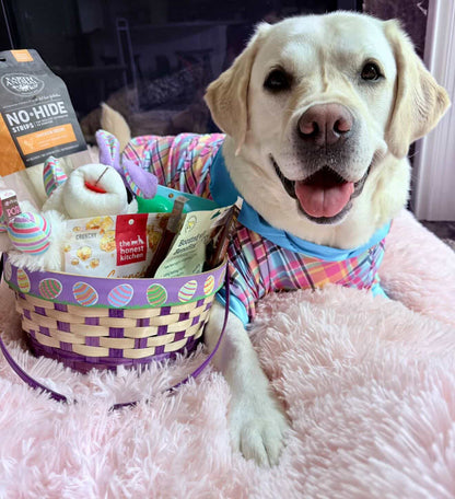 Easter Plaid Dog Dress With Ruffle / With Sleeves or Sleeveless