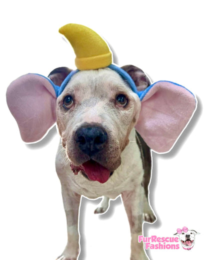 Dumbo Headband