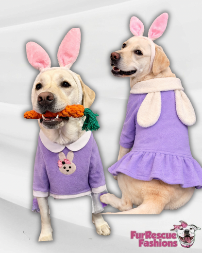 Easter Bunny Belle Dress