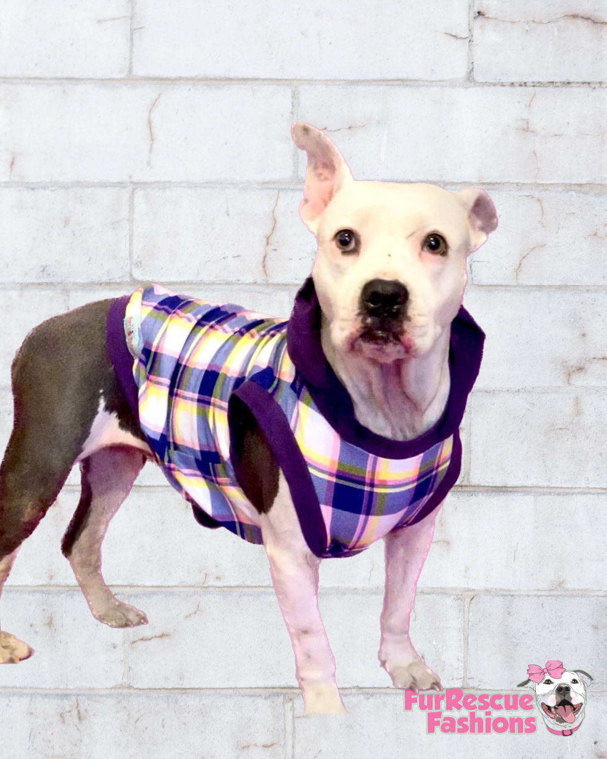 Purple Chic Plaid with Purple Neck & Trim/Sleeves (Classic Fabric)