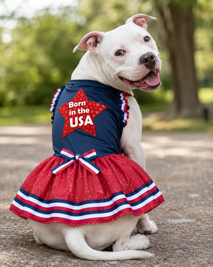 Born in the USA Glam Dress