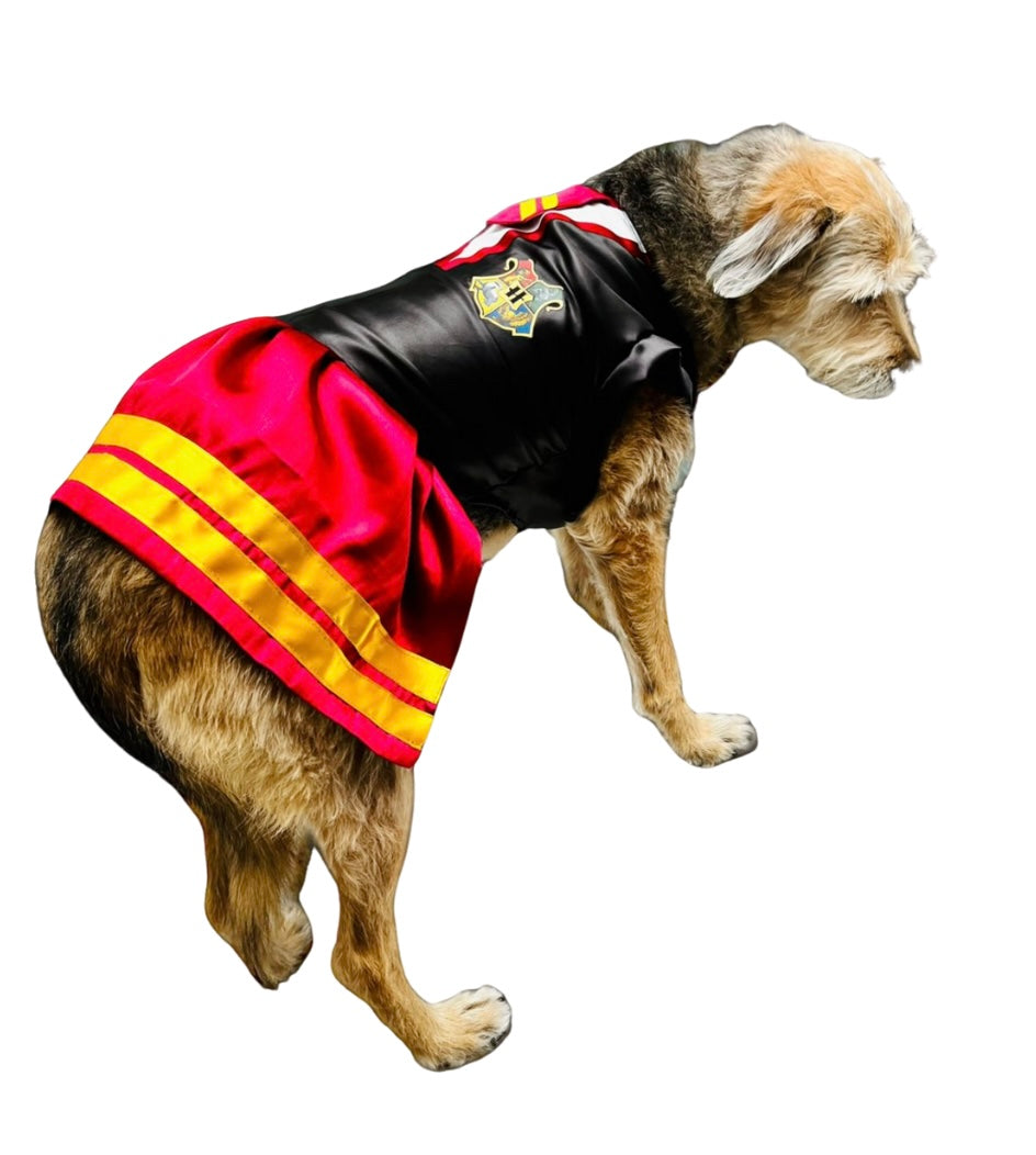 Pawgwarts Pup Costume