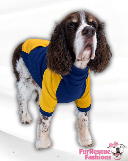 Solid Color Block Dog Sweater