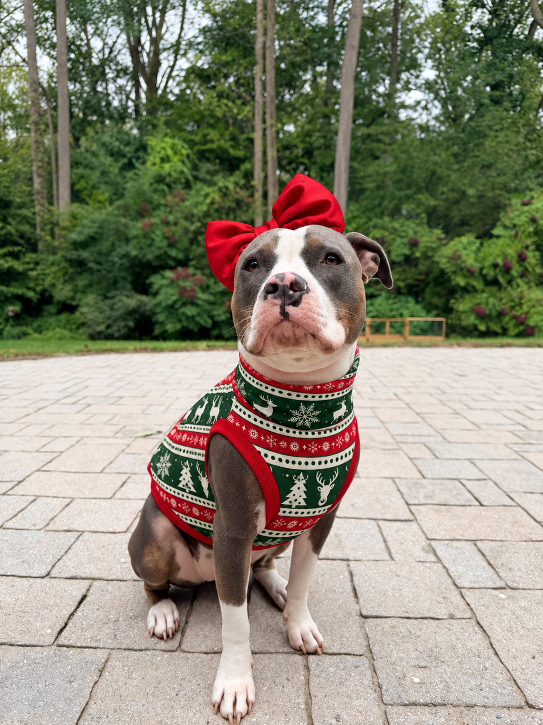 Christmas Reindeer Fair Isle Ultra-Luxe - Dog Pajama with Red Neck & Trim/Sleeves