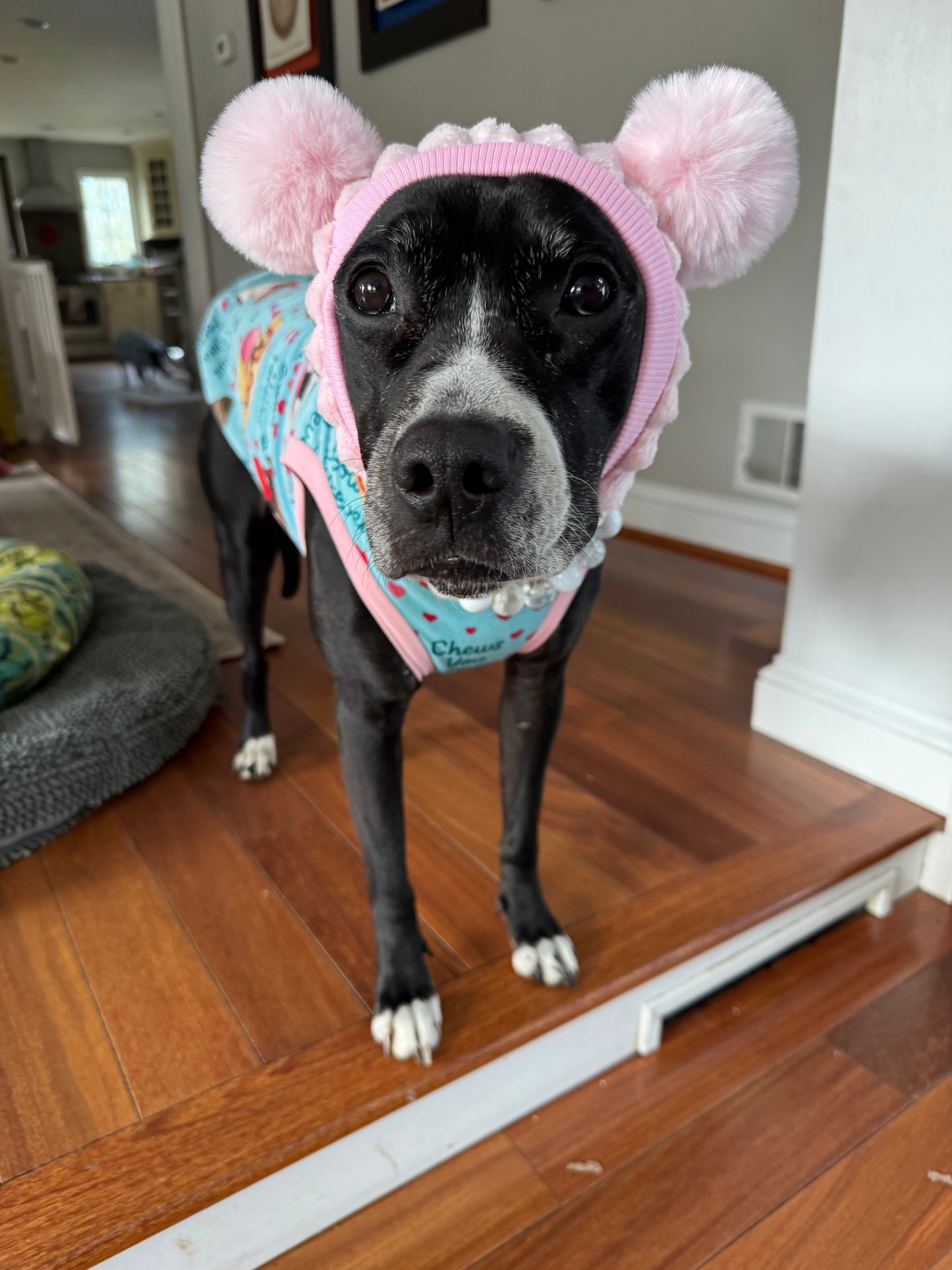 My Fur-Ever Valentine Dog Snood with Pompoms