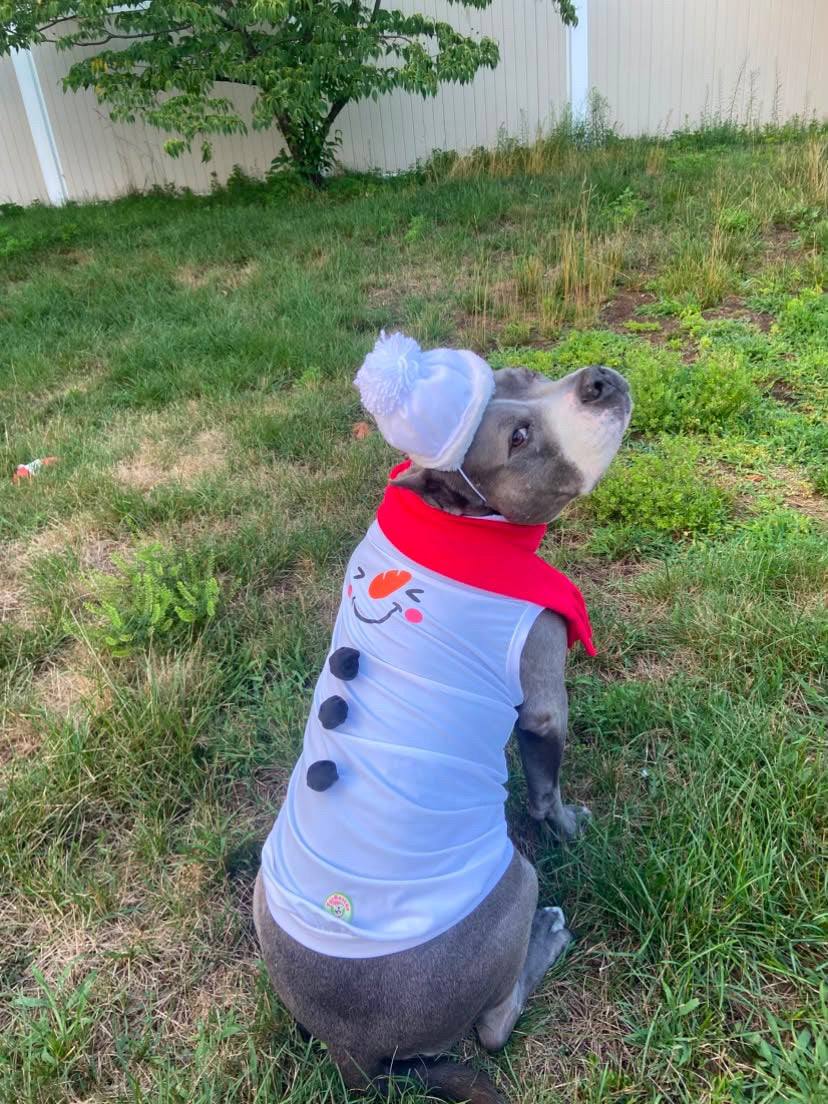 Frosty Smiles Dog Shirt