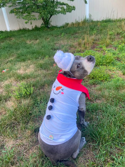 Frosty Smiles Dog Shirt