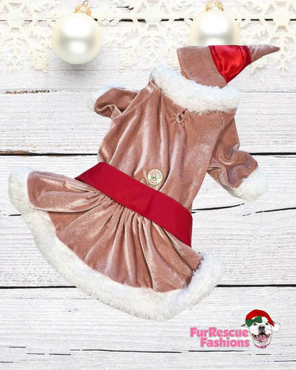 Jovie’s Christmas Cheer Dog Dress & Hat