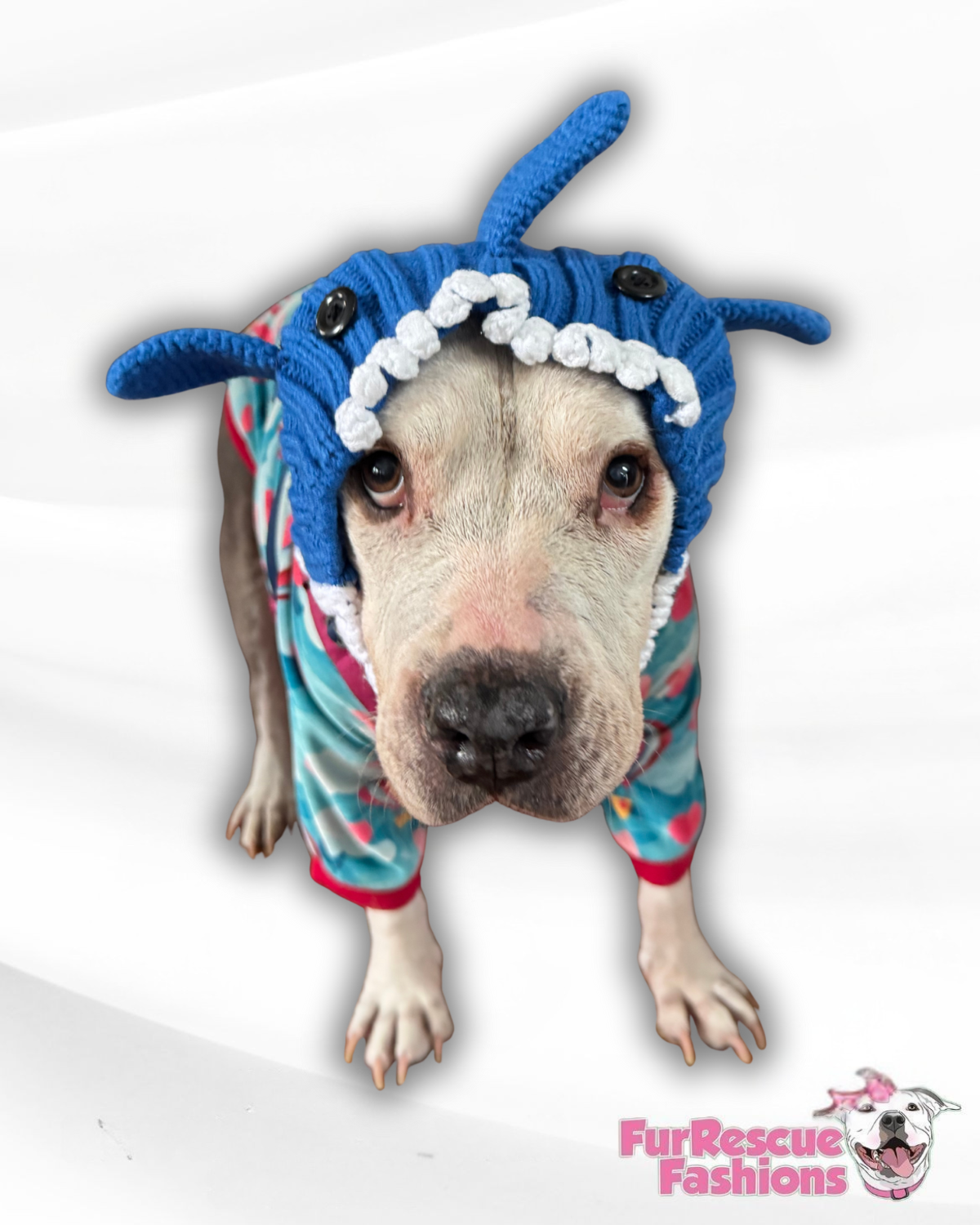 Sharkie Cozy Dog Snood