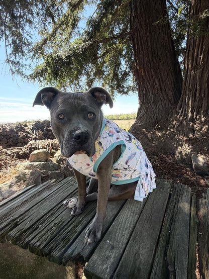 2026 Spring Dog Dress With Ruffle / With Sleeves or Sleeveless (Available in any pattern)