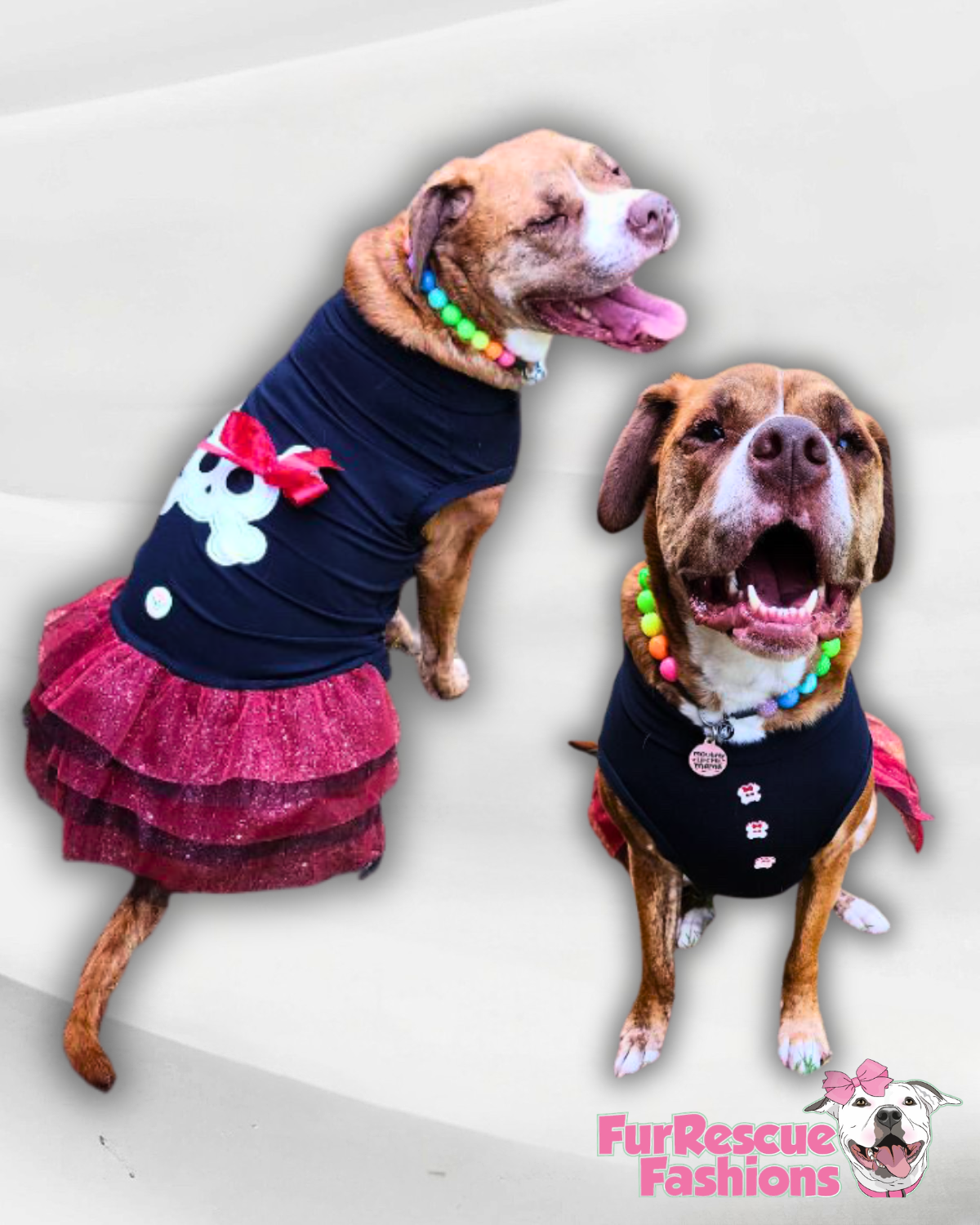 🏴‍☠️ Sassy Pawrate – Pirate Dog Tutu Dress