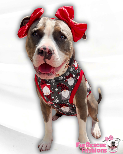 Gnome for the Holidays Ultra-Luxe - Dog Pajama with Red Neck & Trim/Sleeves