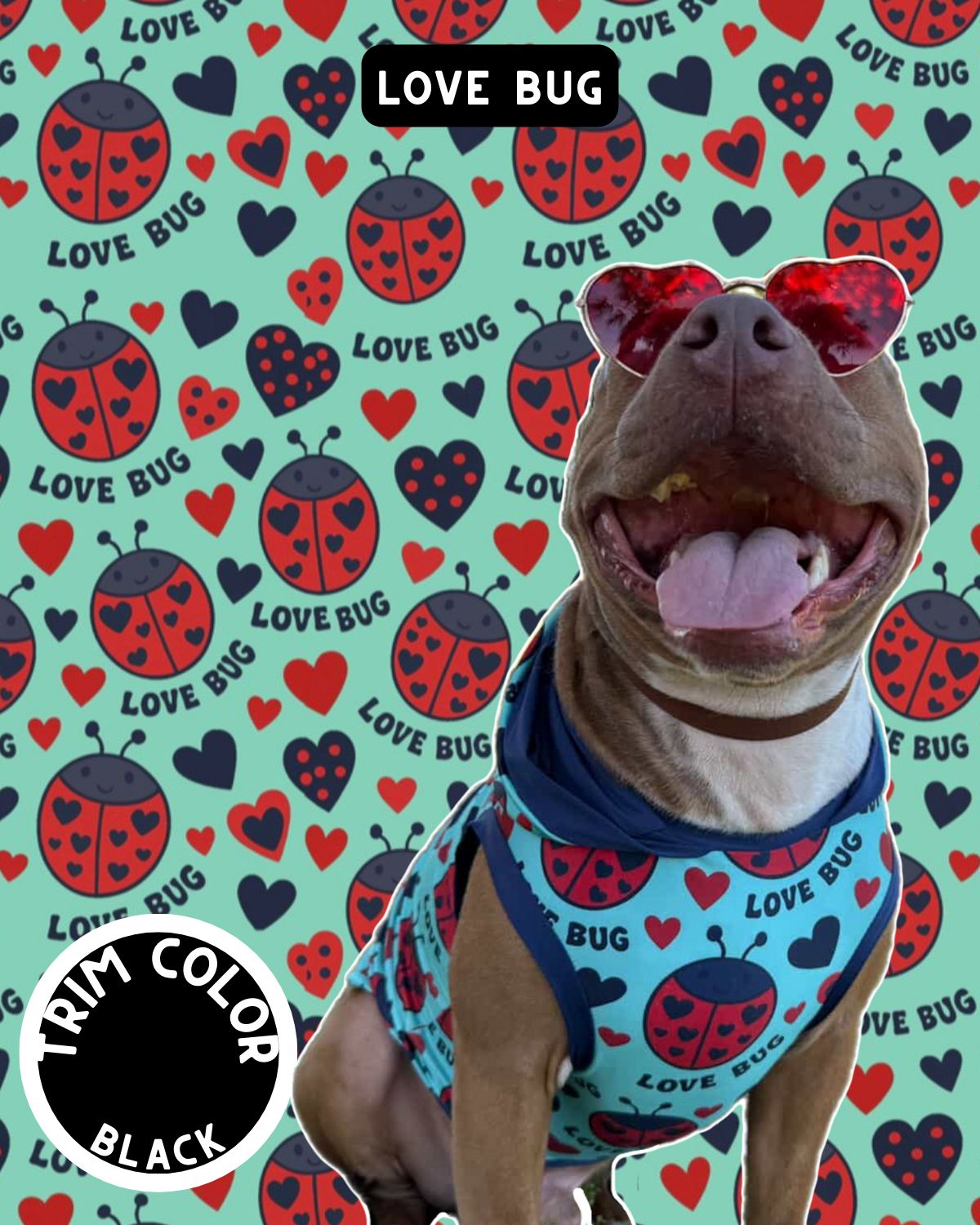 Love Bug Dog Pajama with Black Neck & Trim/Sleeves