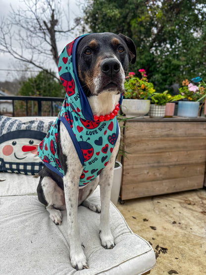 Love Bug Dog Pajama with Black Neck & Trim/Sleeves