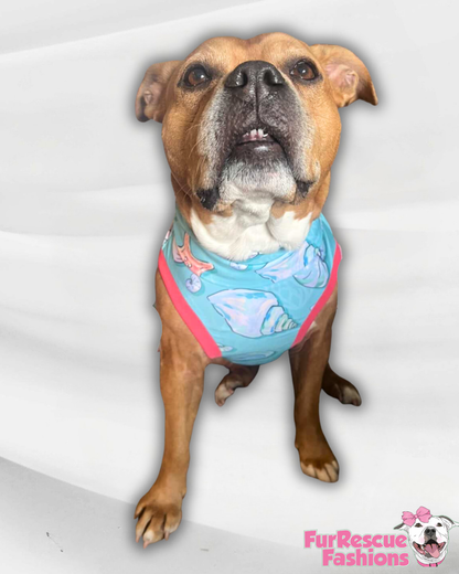 Seashell Serenity - Dog Pajama with Coral Neck & Trim/Sleeves