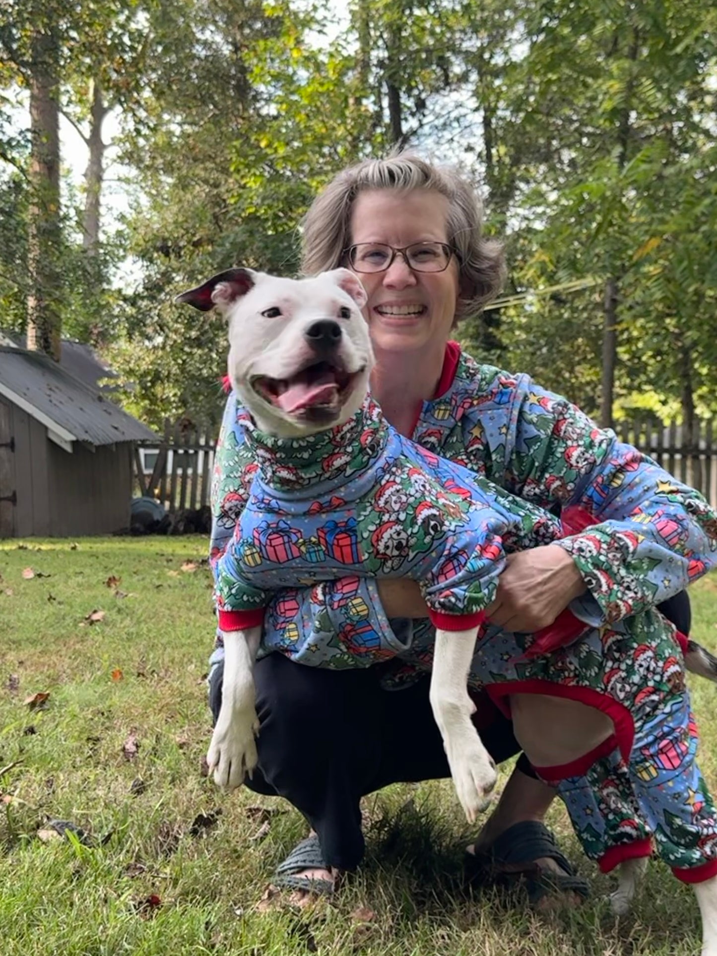 2025 Get Merry - Christmas Matching Human Hoodie (Any Pattern Available)