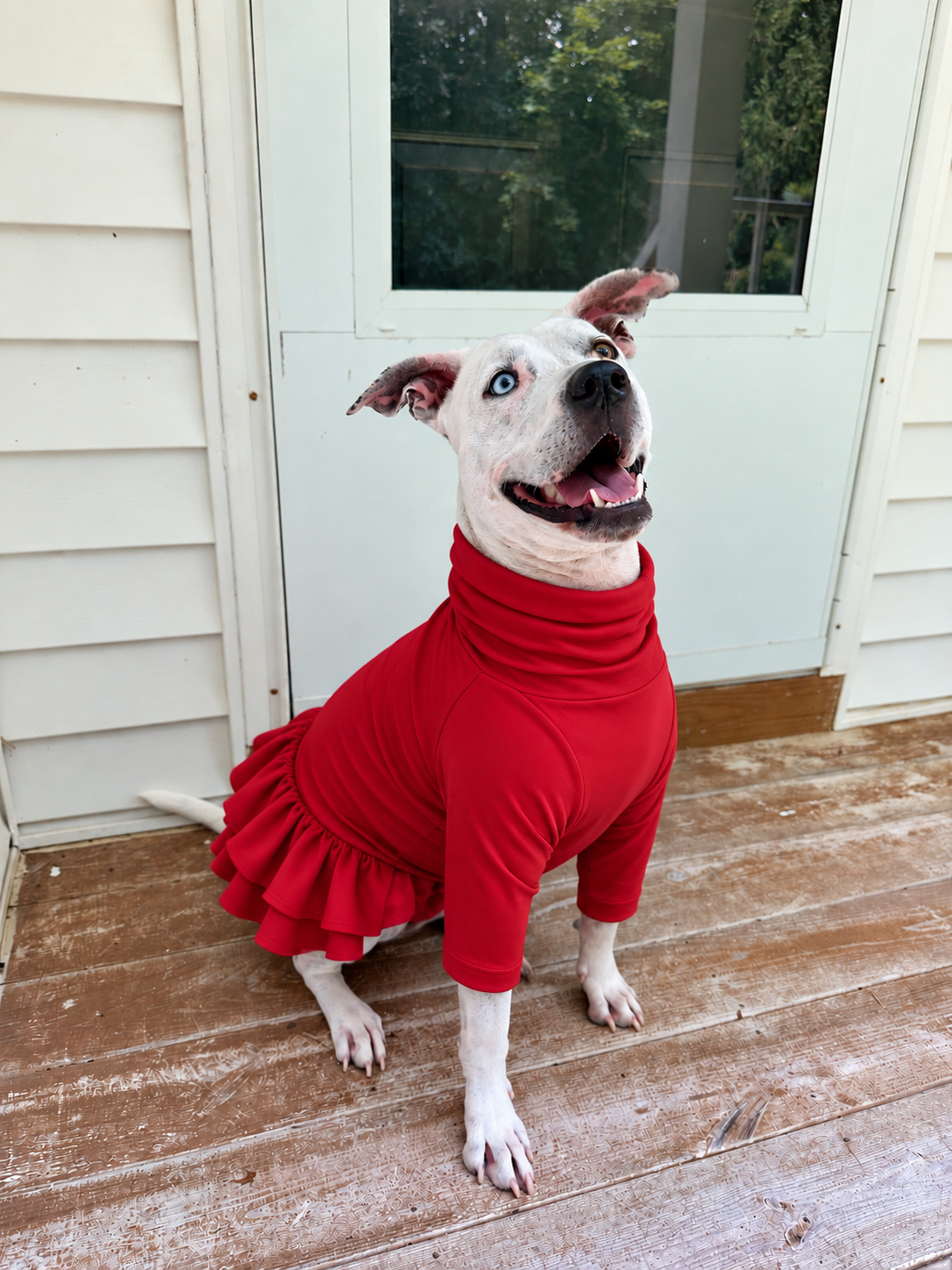 Everyday Solids Dog Dress With Ruffle / With Sleeves or Sleeveless (Available in any pattern)