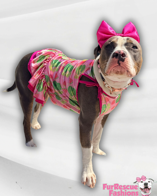 Shinny Watermelon Magic Strapped Dog Dress With Ruffle