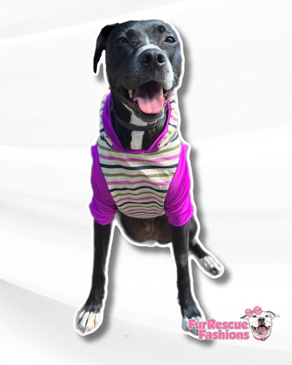 Preppy Stripes Dog & Shirt – Blue or Fuchsia