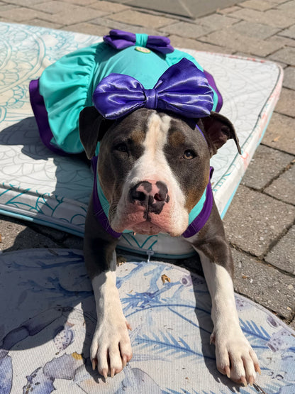 Seafoam Princess  Color Block Dog Dress