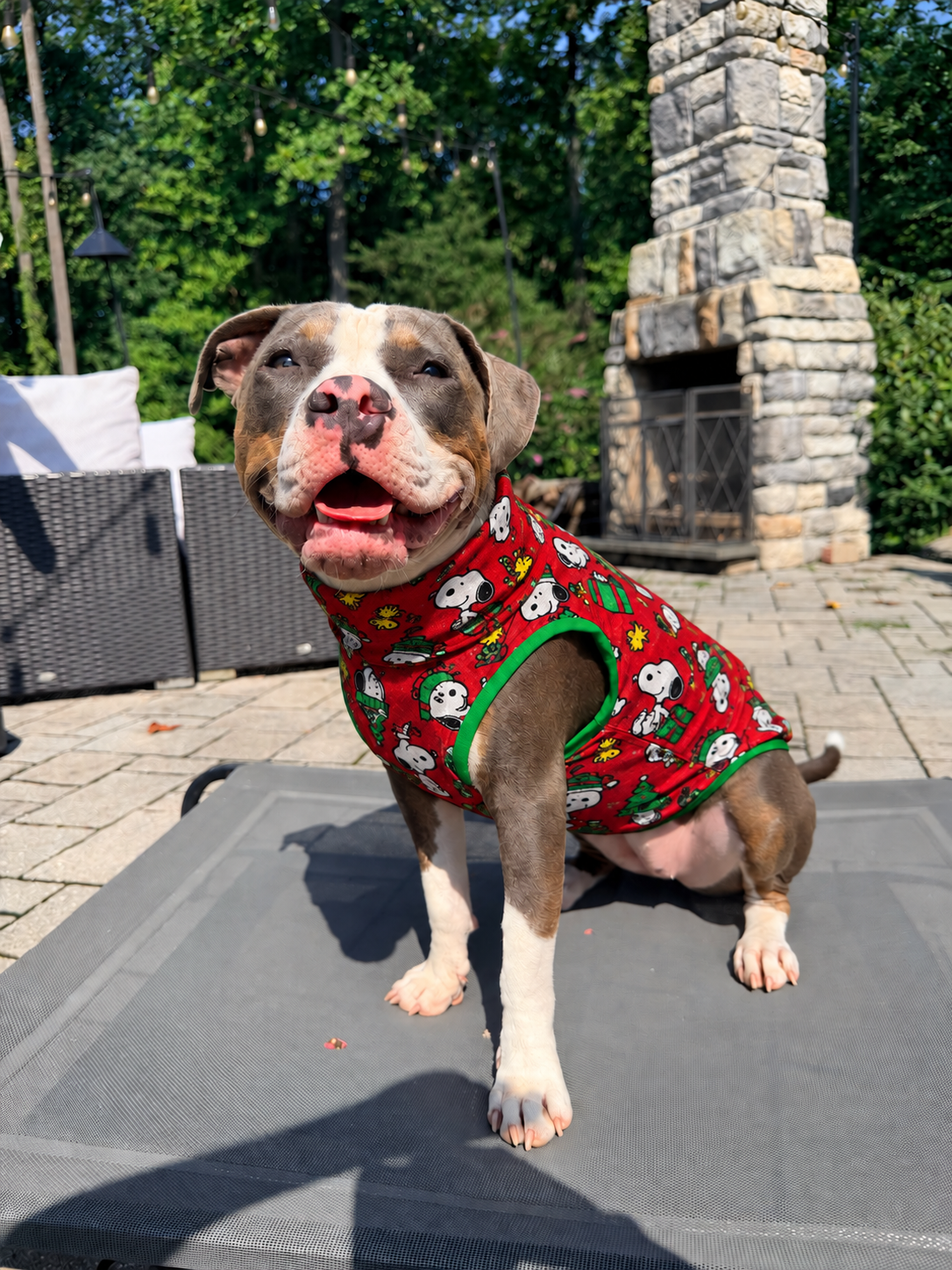 A Very Snoopy Christmas Ultra-Luxe - Dog Pajama with Green Neck & Trim/Sleeves