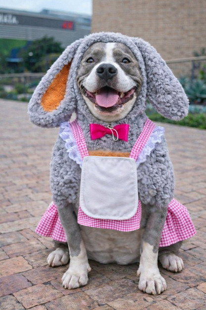 Hoppy Bunny with Picnic Gingham Dress