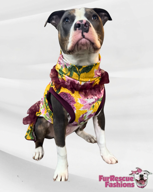 Golden Garden Dog Dress