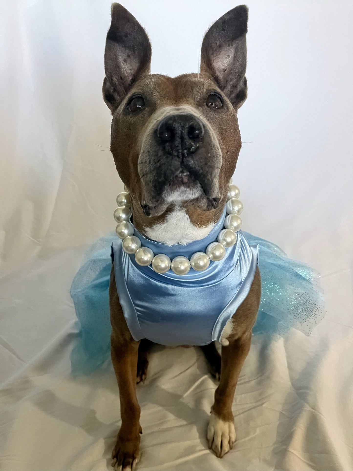 Dusty Blue Tutu Dress