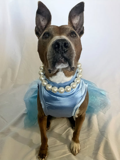 Dusty Blue Tutu Dress