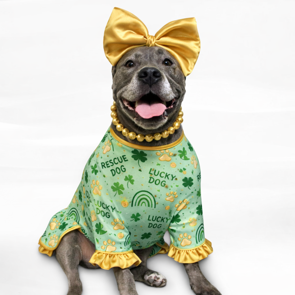 Lucky Dog Dog Pajama with Gold Neck & Trim/Sleeves