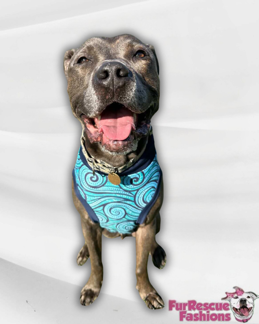Makin’Waves Dog Pajama with Navy Blue Trim