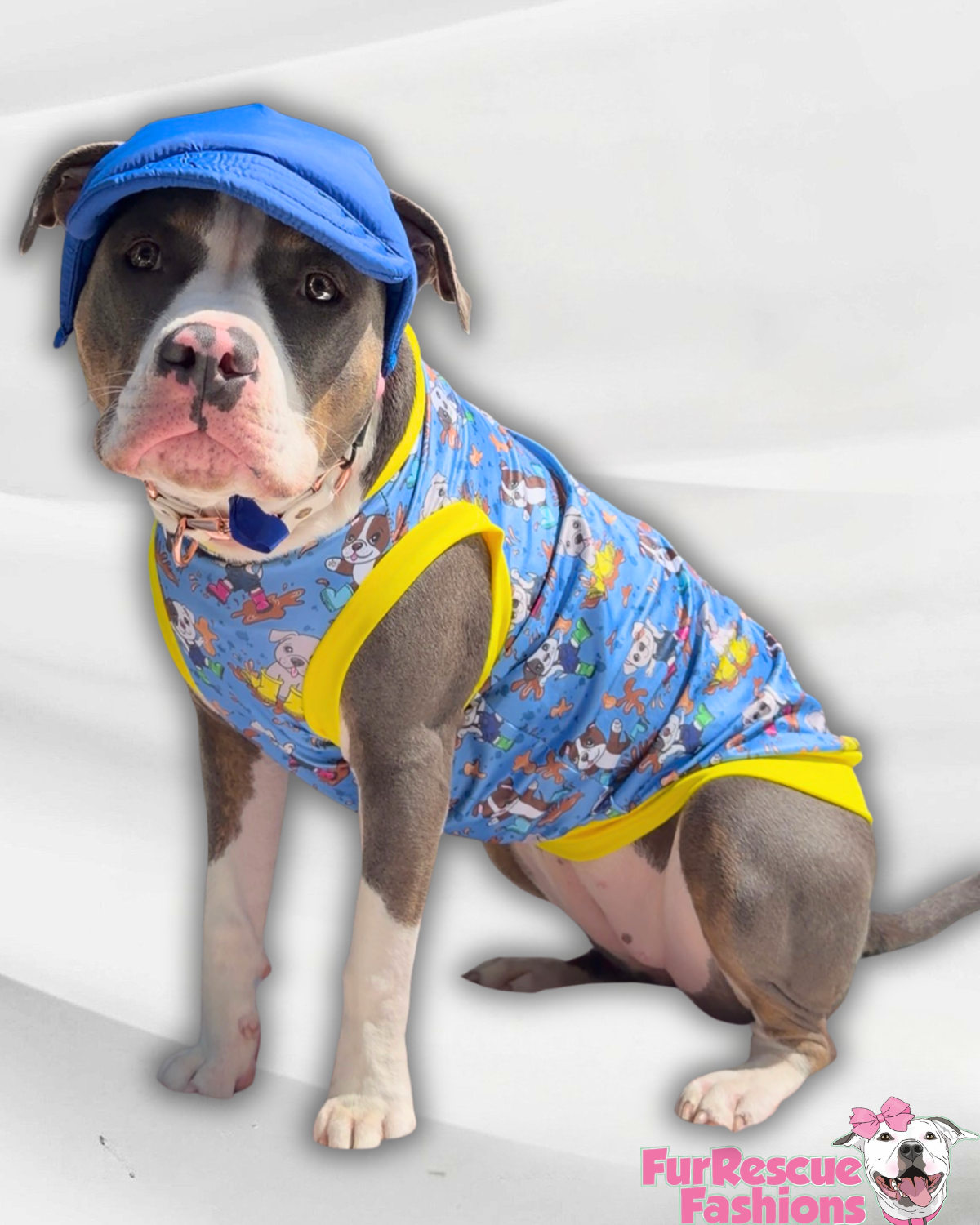 Blue Waterproof Dog Hat