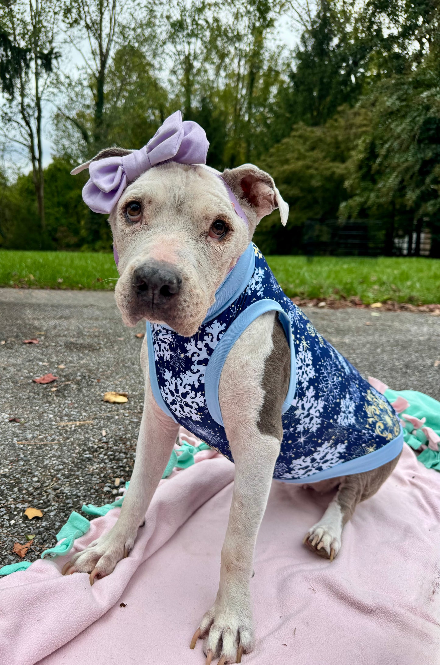 Fancy Snow Dog Pajama with Light Blue Neck & Trim/Sleeves